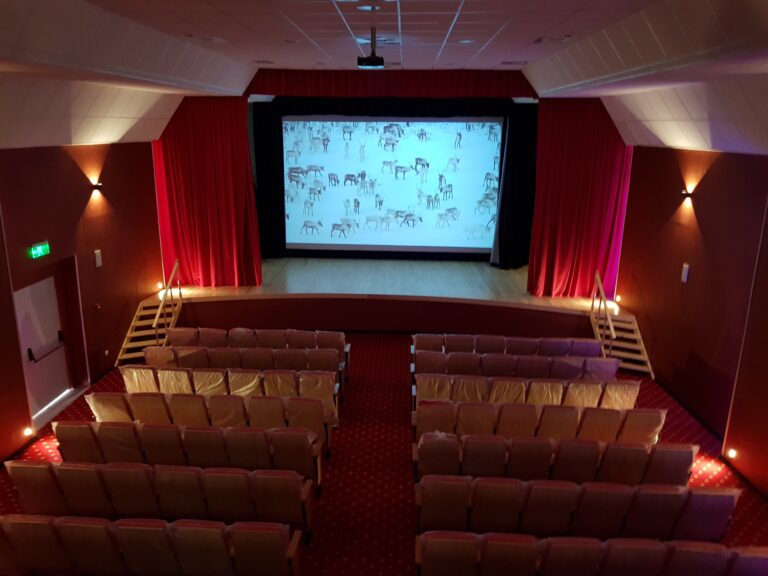 inauguration salle de cinéma DAR EL BIDA